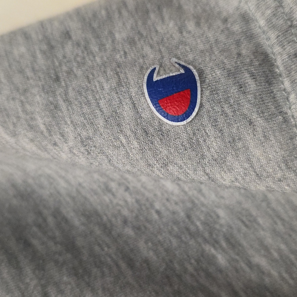 Champion Boy's Short Sleeve 18/20 Grey T Shirt With Logo Print On Front - Picture 3 of 6